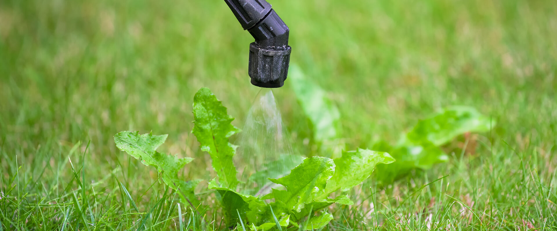 Chemical Weed Control